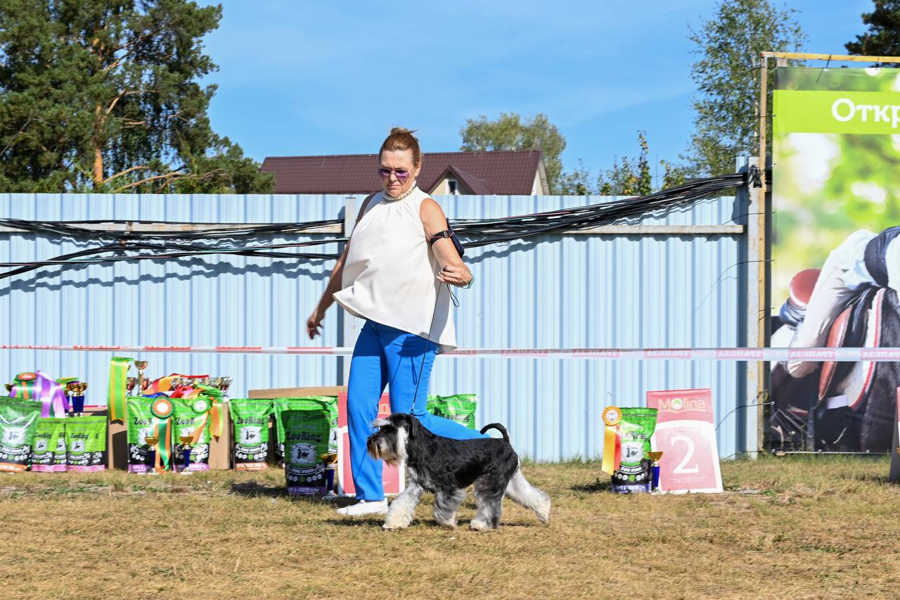 https://upforme.ru/uploads/0013/26/e2/64/981376.jpg