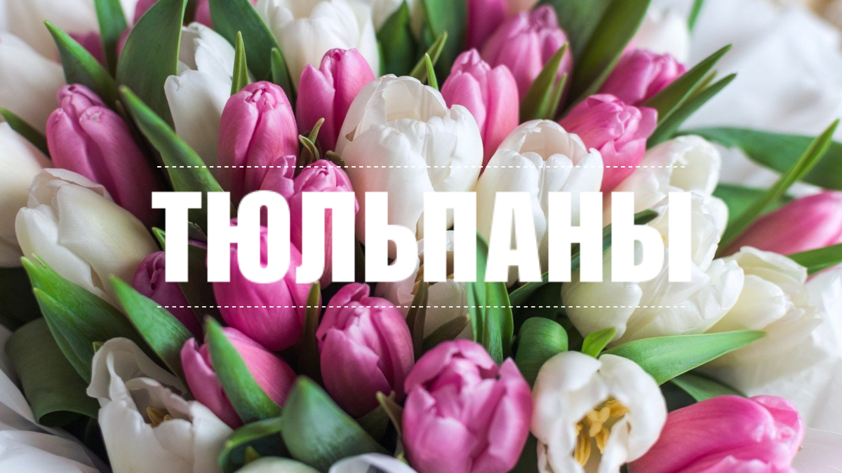 https://upforme.ru/uploads/0013/39/cd/2/265751.jpg