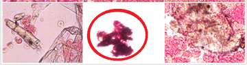 https://upforme.ru/uploads/0013/48/ca/8416/t396057.png
