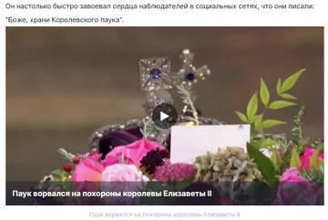 https://upforme.ru/uploads/0013/48/ca/8889/t120466.jpg