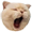 https://upforme.ru/uploads/0013/63/cd/2/159568.png