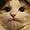 https://upforme.ru/uploads/0013/63/cd/2/242355.png