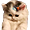 https://upforme.ru/uploads/0013/63/cd/2/311679.png