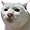 https://upforme.ru/uploads/0013/63/cd/2/393842.png