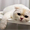 https://upforme.ru/uploads/0013/63/cd/2/584699.png