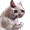 https://upforme.ru/uploads/0013/63/cd/2/758300.png