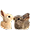 https://upforme.ru/uploads/0013/63/cd/2/987543.png