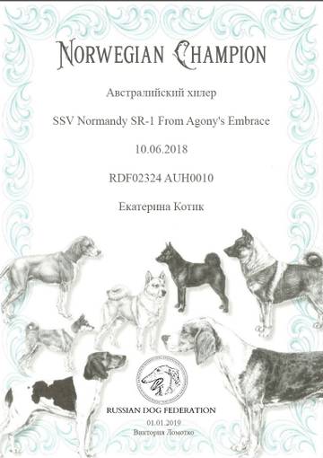 https://upforme.ru/uploads/0013/75/9d/686/t898738.jpg