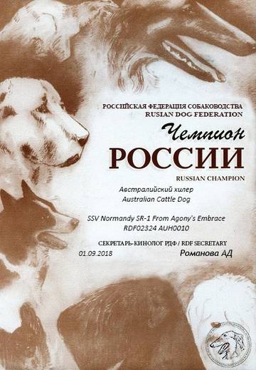 https://upforme.ru/uploads/0013/75/9d/686/t957166.jpg