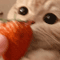 smalimg