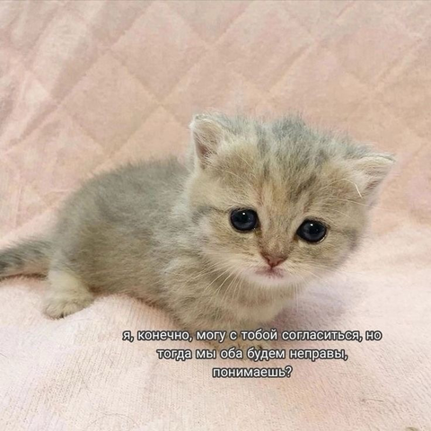 https://upforme.ru/uploads/0013/7e/b7/2/t204763.png