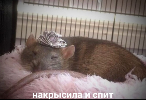 https://upforme.ru/uploads/0013/7e/b7/2/t389860.png