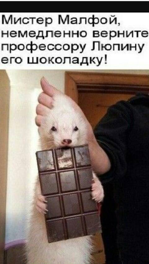https://upforme.ru/uploads/0013/7e/b7/2/t797428.jpg