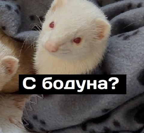 https://upforme.ru/uploads/0013/7e/b7/2/t884342.png