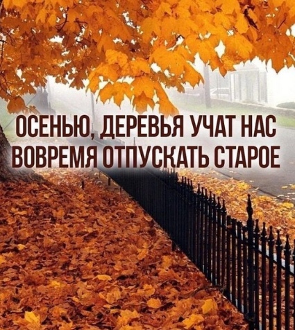 https://upforme.ru/uploads/0013/8b/ae/260/386201.jpg