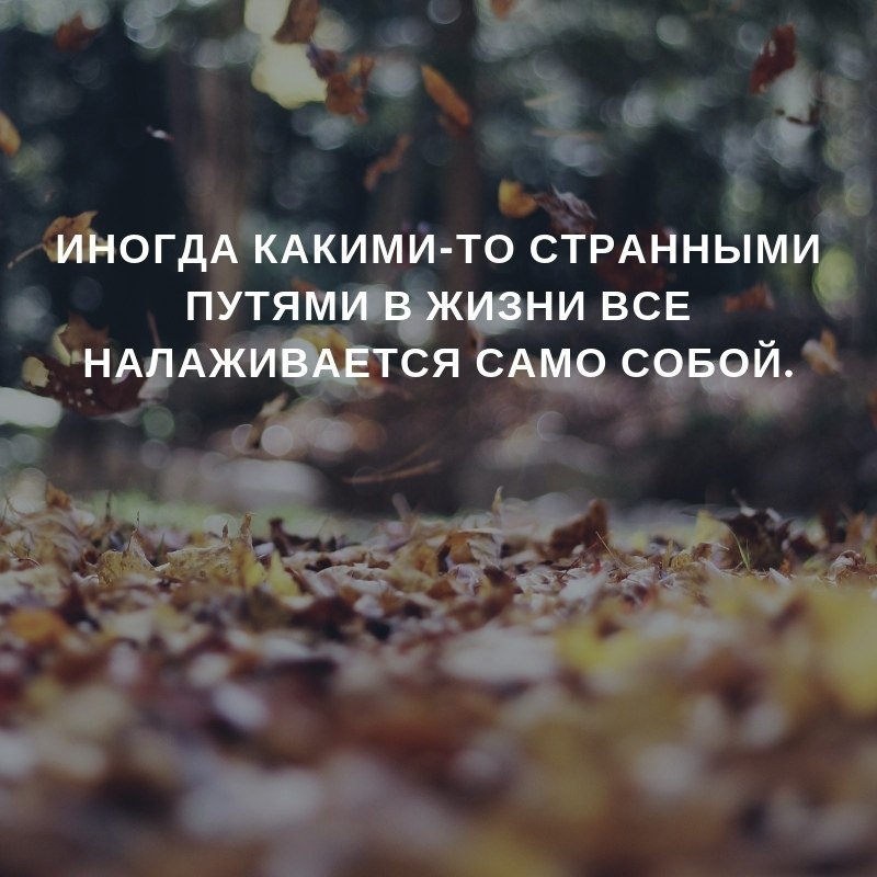 https://upforme.ru/uploads/0013/8b/ae/260/436085.jpg