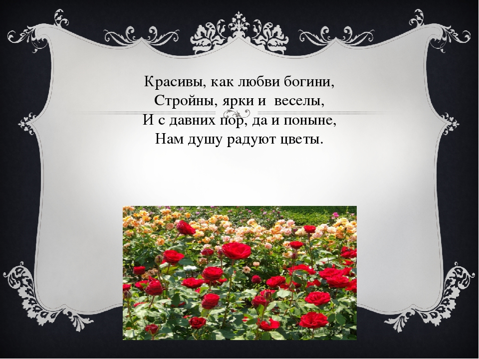 https://upforme.ru/uploads/0013/8b/ae/260/61051.jpg