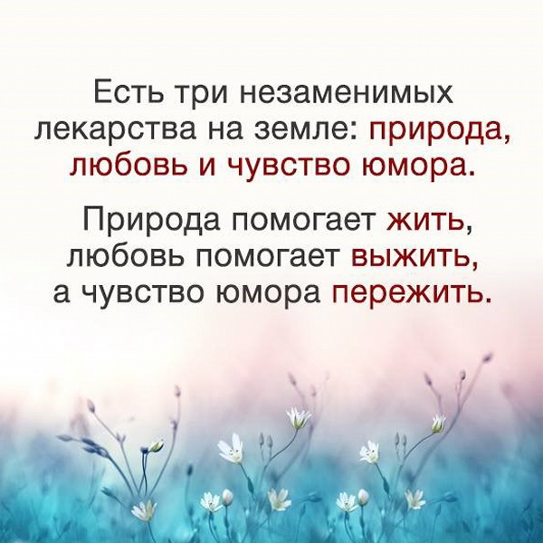 https://upforme.ru/uploads/0013/8b/ae/260/705291.jpg