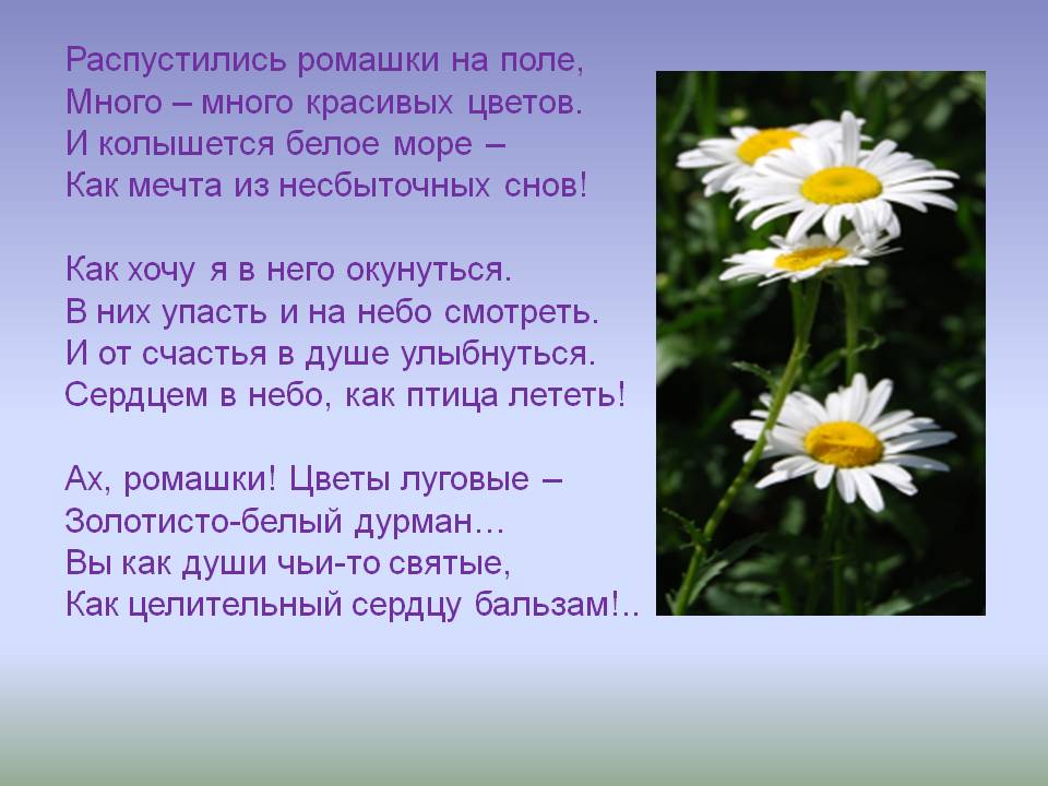 https://upforme.ru/uploads/0013/8b/ae/260/864971.jpg