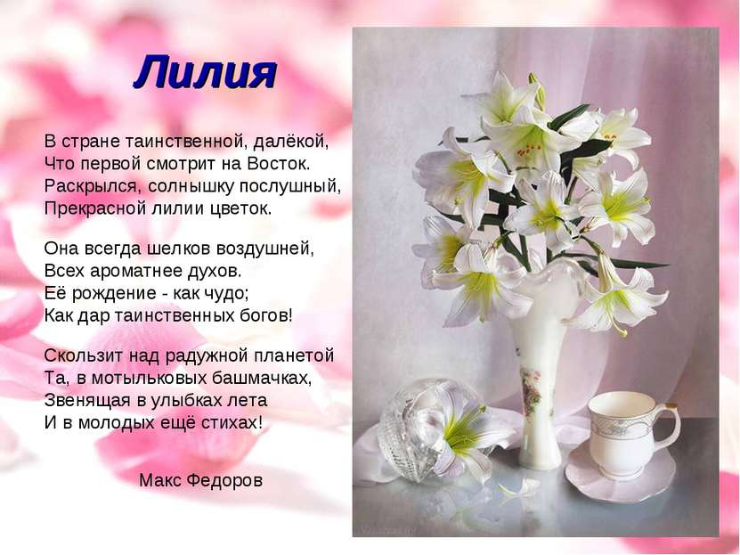https://upforme.ru/uploads/0013/8b/ae/260/917624.jpg