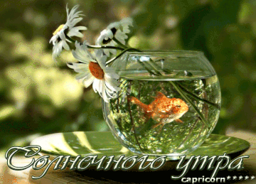 https://upforme.ru/uploads/0013/a7/15/2/t333251.gif