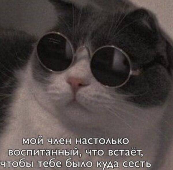 https://upforme.ru/uploads/0013/d0/86/2/t398292.jpg