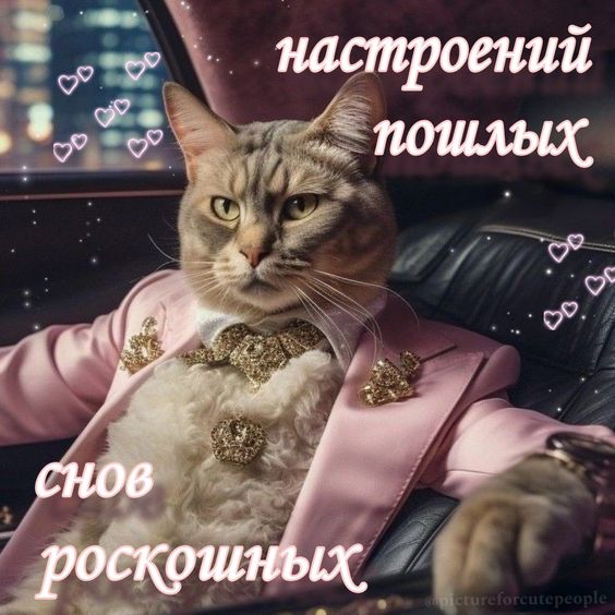 https://upforme.ru/uploads/0013/d0/86/2/t825262.jpg