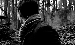 https://upforme.ru/uploads/0013/e6/7a/2/843795.gif
