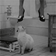 https://upforme.ru/uploads/0013/e8/6e/4/67028.gif