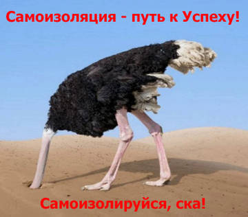 https://upforme.ru/uploads/0013/fc/6b/12/t51221.jpg