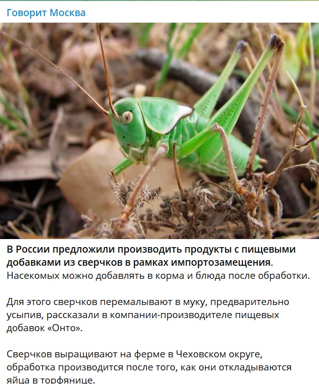 https://upforme.ru/uploads/0013/fc/6b/2/128582.jpg