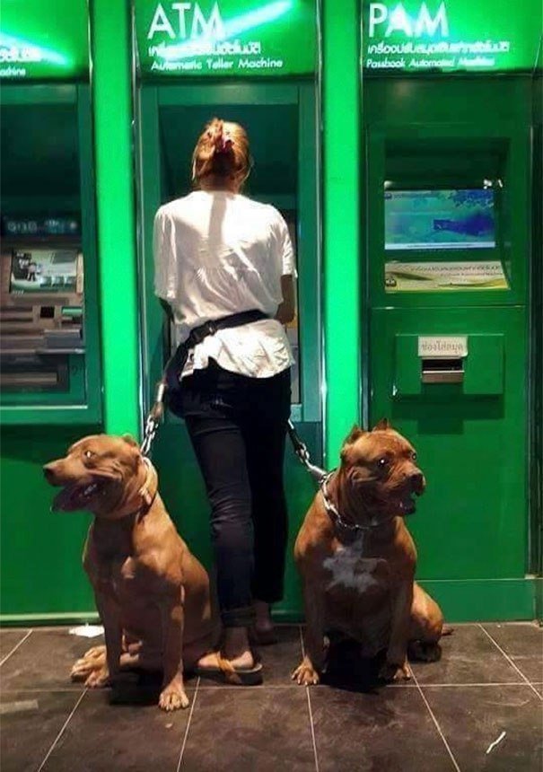 https://upforme.ru/uploads/0013/fc/6b/2/24583.jpg