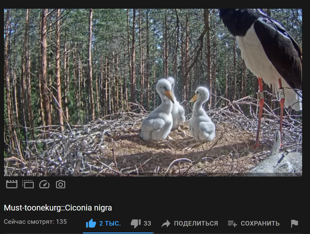https://upforme.ru/uploads/0013/fc/6b/2/295385.png