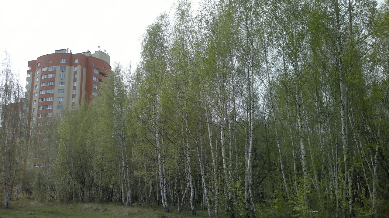 https://upforme.ru/uploads/0013/fc/6b/2/392193.jpg