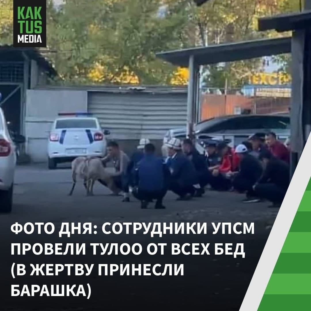 https://upforme.ru/uploads/0013/fc/6b/2/418849.jpg