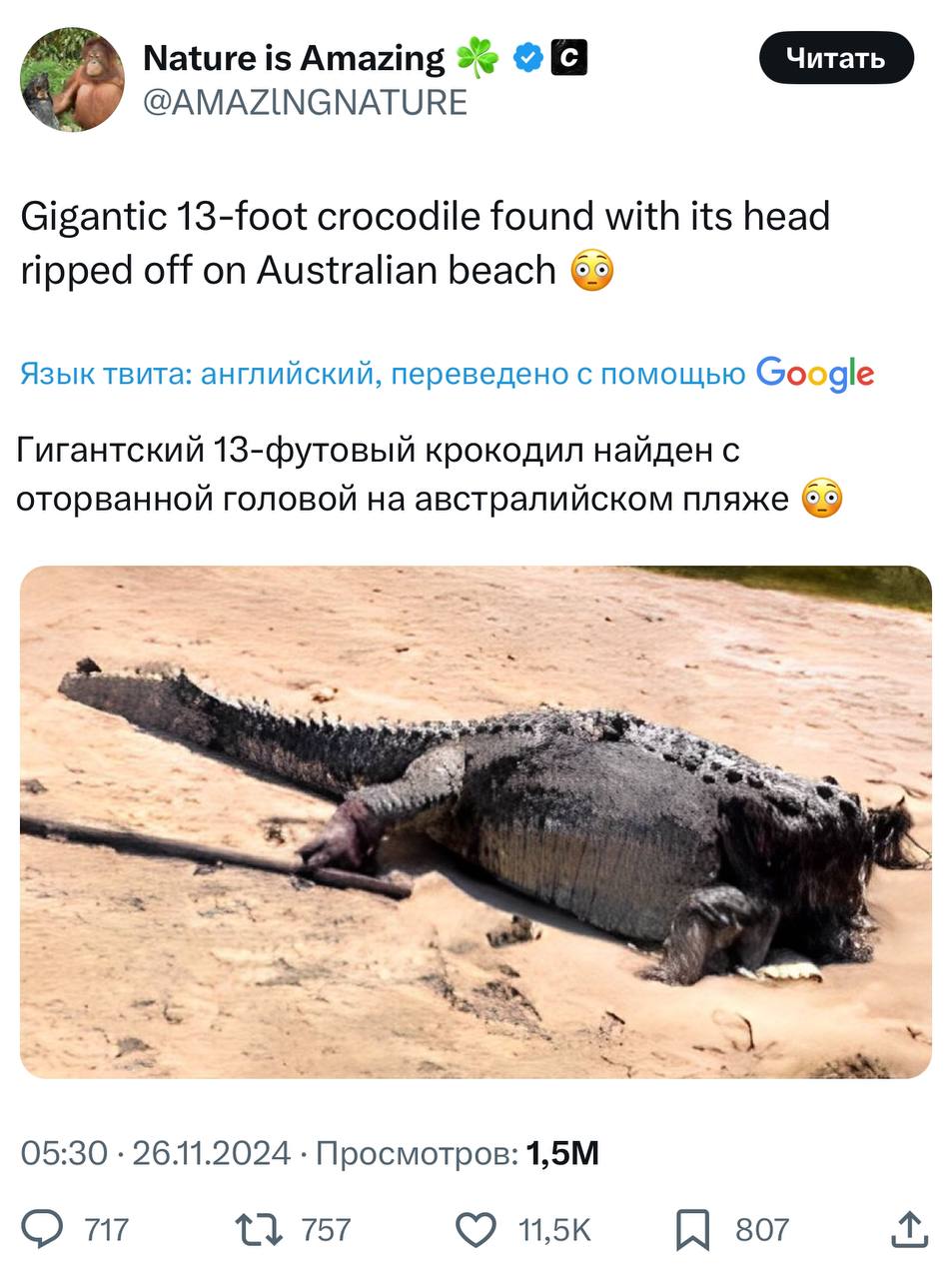 https://upforme.ru/uploads/0013/fc/6b/2/434485.jpg