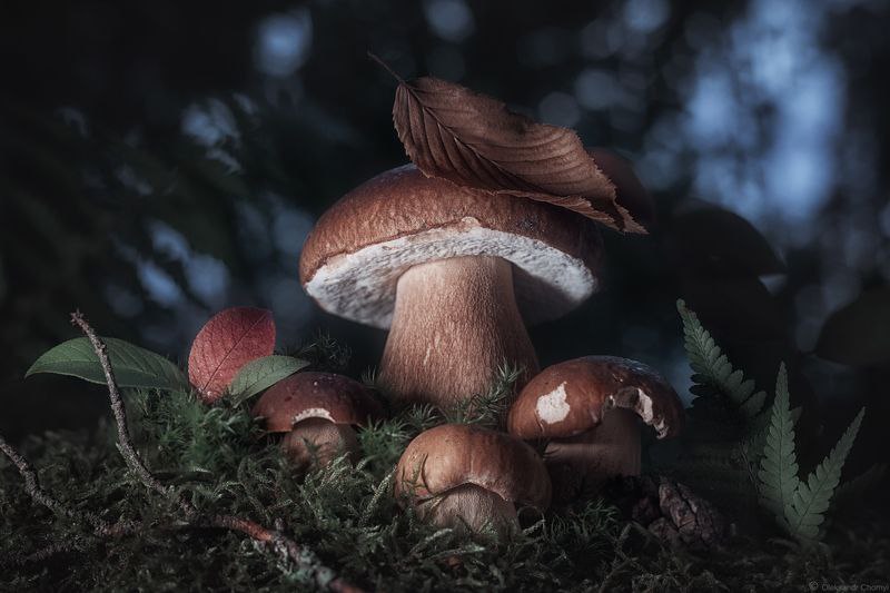https://upforme.ru/uploads/0013/fc/6b/2/664403.jpg