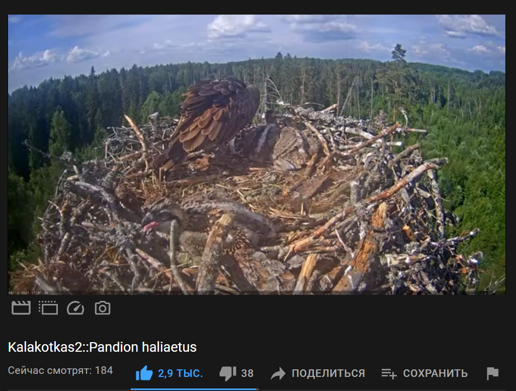 https://upforme.ru/uploads/0013/fc/6b/2/780830.png