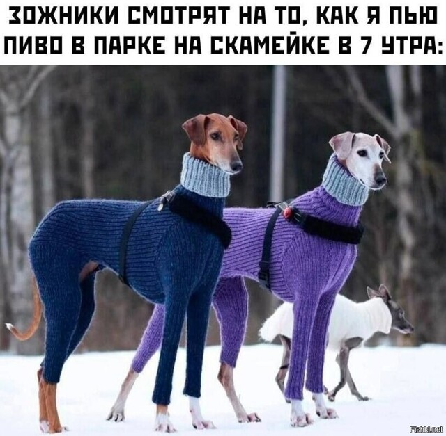 https://upforme.ru/uploads/0013/fc/6b/2/918580.jpg
