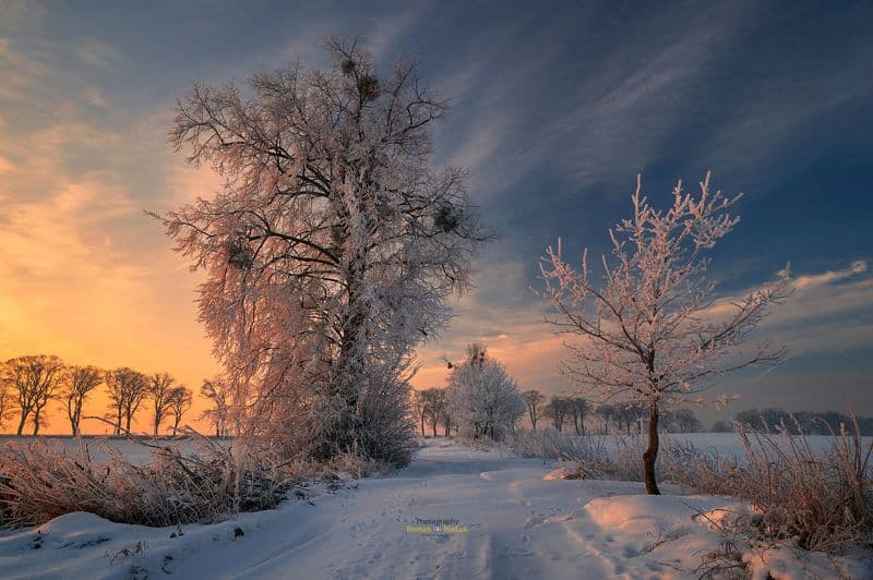 https://upforme.ru/uploads/0013/fc/6b/2/978067.jpg