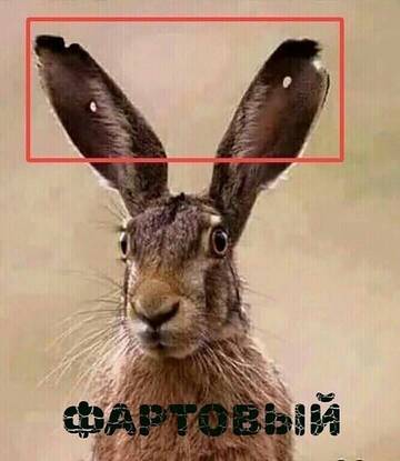 https://upforme.ru/uploads/0013/fc/6b/21/t34097.jpg