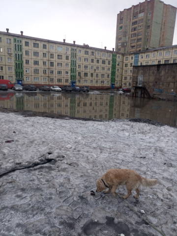 https://upforme.ru/uploads/0013/fc/6b/21/t659694.jpg