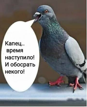 https://upforme.ru/uploads/0013/fc/6b/21/t73860.jpg