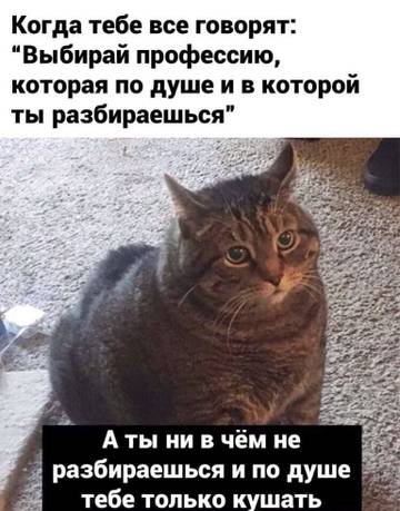https://upforme.ru/uploads/0013/fc/6b/27/t36490.jpg