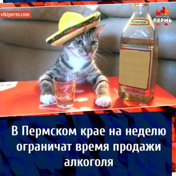 https://upforme.ru/uploads/0013/fc/6b/27/t40616.jpg