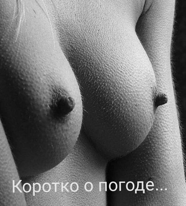 https://upforme.ru/uploads/0013/fc/6b/3/t260042.jpg
