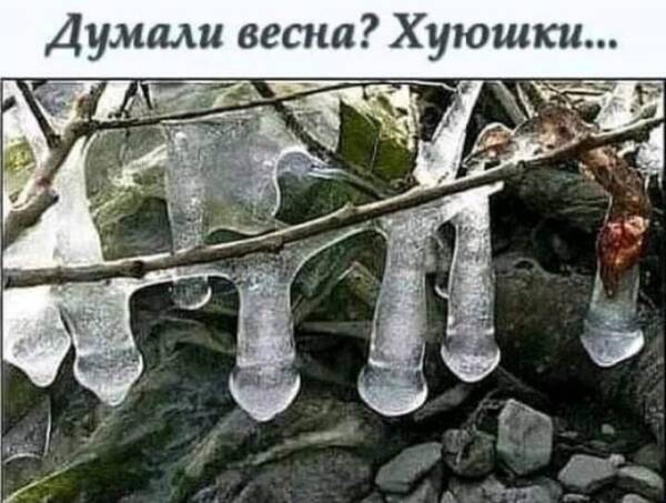 https://upforme.ru/uploads/0013/fc/6b/3/t449283.jpg