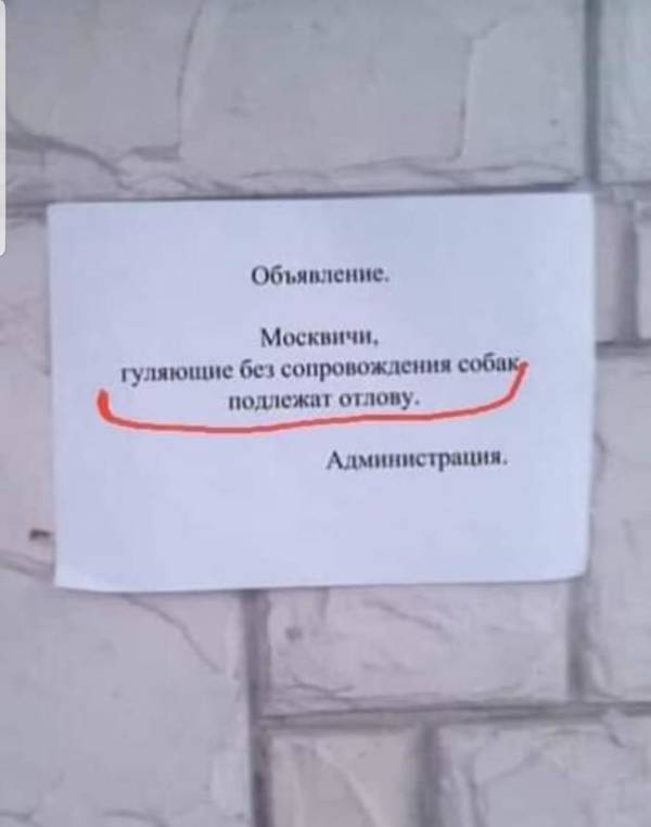 https://upforme.ru/uploads/0013/fc/6b/3/t67710.jpg