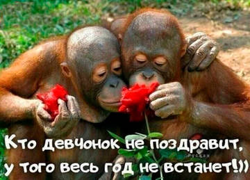 https://upforme.ru/uploads/0013/fc/6b/6/t24919.jpg