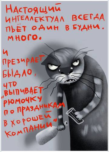 https://upforme.ru/uploads/0013/fc/6b/6/t312489.jpg